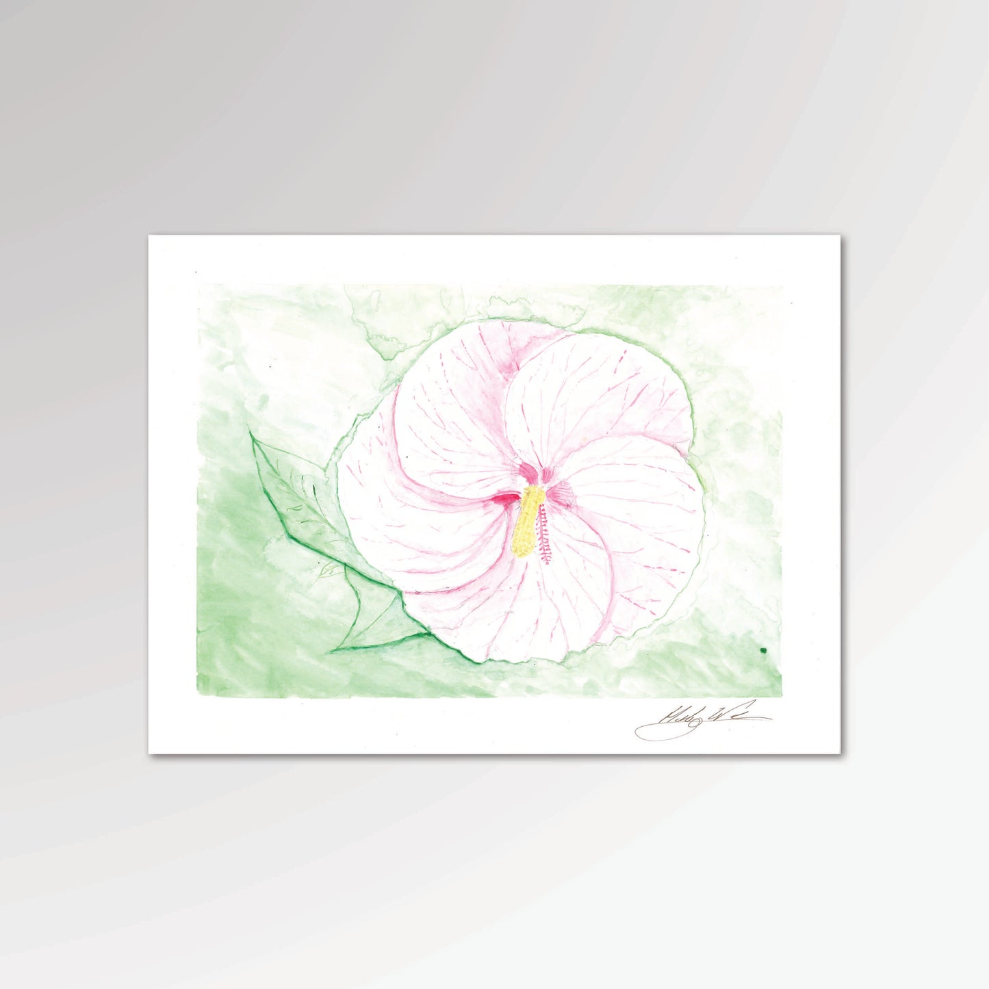 Hibiscus - I