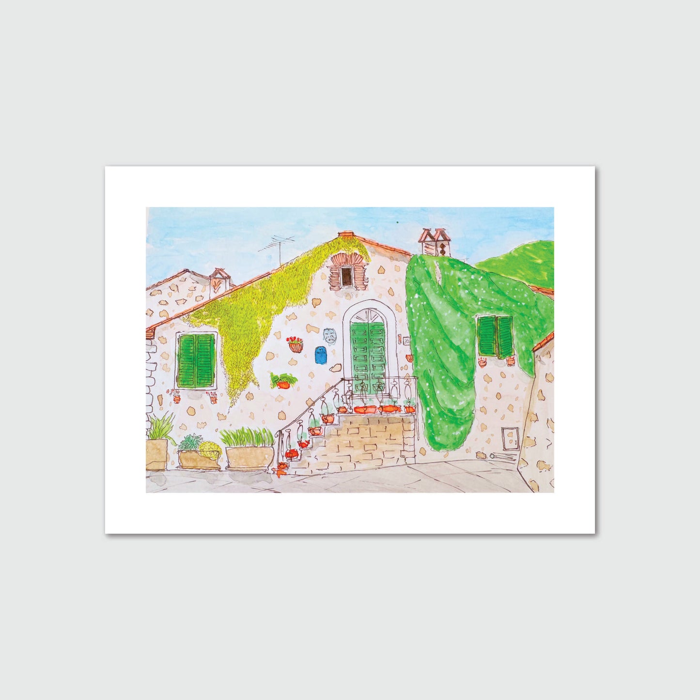 Il Gelsomino - I
